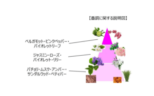 【新発売】ファーファ柔軟剤プレミアムラインより新しい香り「ファーファ ファインフレグランス アムール」が2019年3月中旬より発売開始